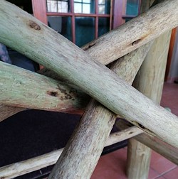 Custom outside table, outside furniture, outside table, garden table, wooden Bear Creations, wooden Bear Creations furniture, table, designer table, handmade table